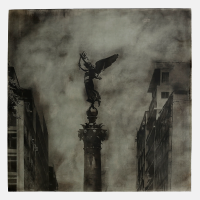 Eriel Araújo :: Alado