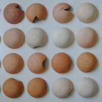 Eriel Araújo :: Doação