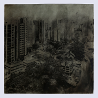 Eriel Araújo :: Floração