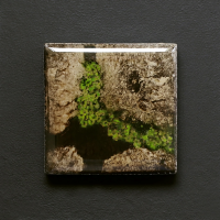 Eriel Araújo :: Micro Rebeliões