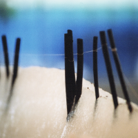 Eriel Araújo :: Mutação Silenciosa