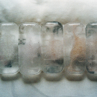 Eriel Araújo :: Repouso